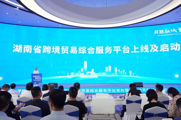 談文勝參加湖南省跨境貿(mào)易綜合服務(wù)平臺發(fā)布儀式并赴企業(yè)調(diào)研
